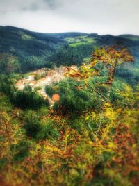 Scenic view of landscape against sky