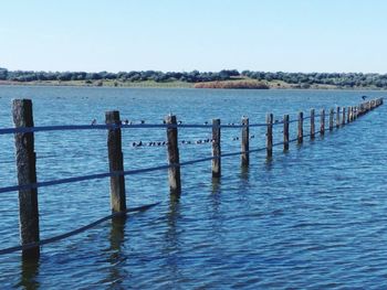 Wooden posts in sea against clear sky