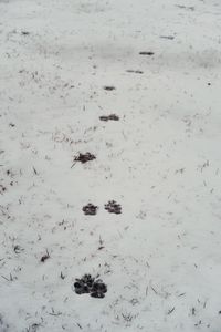 High angle view of snow on field