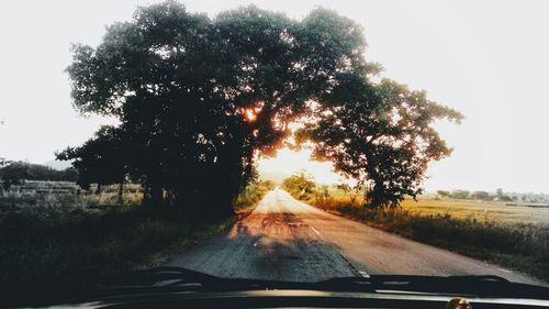 Road amidst trees against sky seen through car windshield