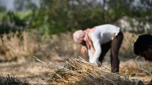 People working on field