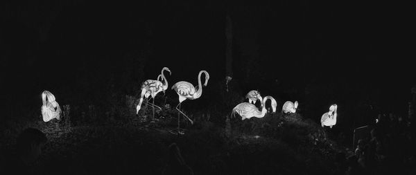 Panoramic view of illuminated artificial flamingoes at zoo