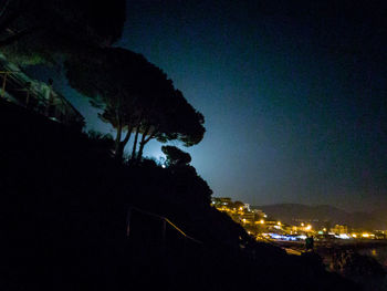 Silhouette of trees at night