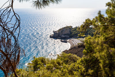 Beautiful view through the branches of the blue sea