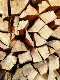 Full frame shot of wooden logs in forest