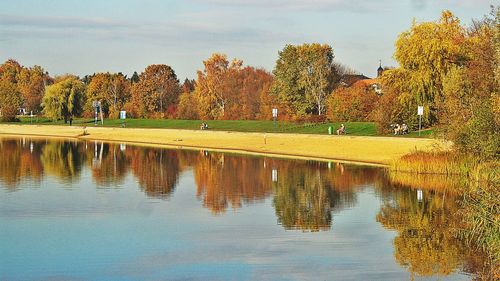 Reflection of trees in lake