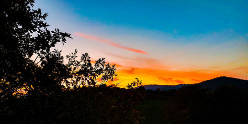 Silhouette trees on landscape against sky during sunset