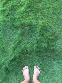 Low section of person standing on grass