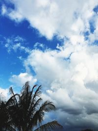 Low angle view of tree against cloudy sky