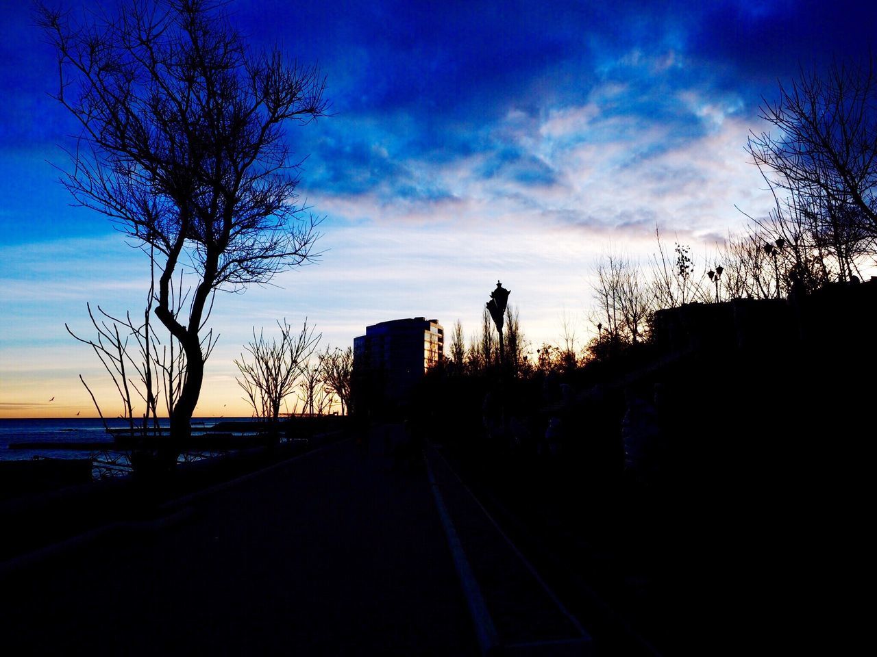 silhouette, bare tree, tree, sky, sunset, transportation, the way forward, cloud - sky, nature, no people, outdoors, scenics, road, beauty in nature, day