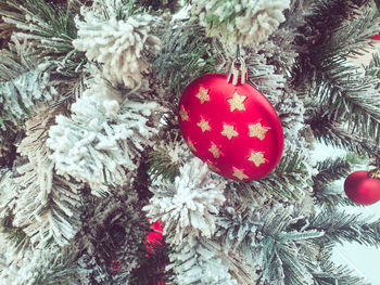 Close-up of christmas decoration hanging on tree