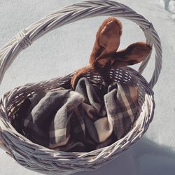 High angle view of bird in basket on table