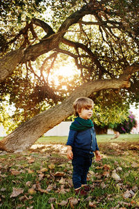 Full length of boy standing by tree