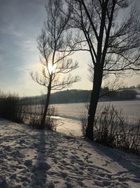 Bare tree by frozen lake against sky during winter