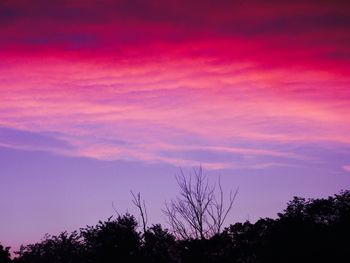 Silhouette of trees against sky at sunset