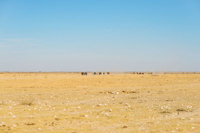 Scenic view of landscape against clear sky