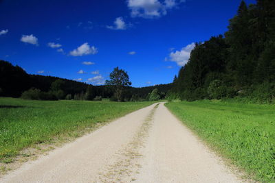 Empty road along trees and plants against sky