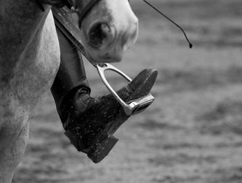 Close up of riding boot