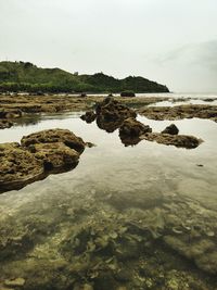 Rocks on sea shore against sky