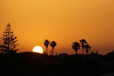 Silhouette palm trees against orange sky