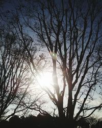 Low angle view of silhouette trees against sky during sunset