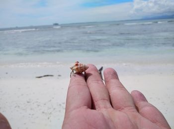 Cropped image of hand holding crab on beach