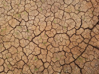 Full frame shot of cracked land