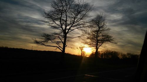 Bare trees on landscape at sunset