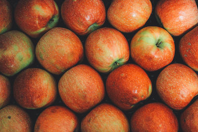 Full frame shot of oranges
