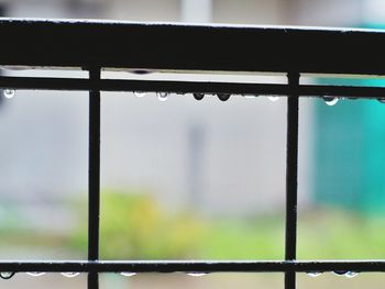 Close-up of wet window