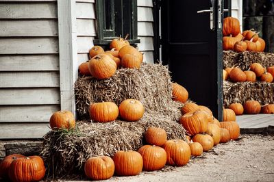 View of pumpkins on display