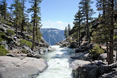 Scenic view of river amidst trees against sky