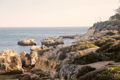 Scenic view of sea against clear sky