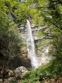 Scenic view of waterfall in forest