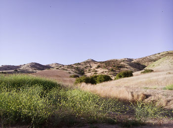 Scenic view of landscape against clear sky