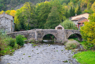 Arch bridge over stream in forest