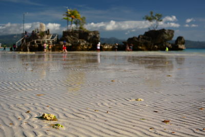 Scenic view of beach