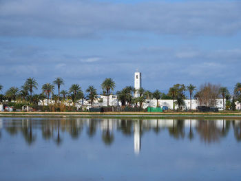 Scenic view of lake by palm trees against sky