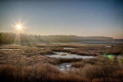 Scenic view of landscape against bright sun