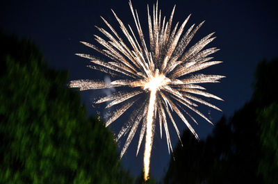 Low angle view of fireworks against sky at night