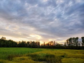 Scenic view of field against sky during sunset