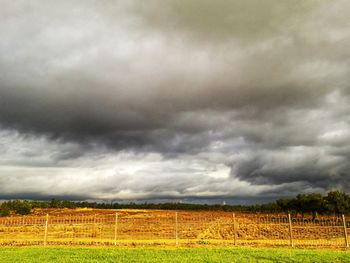 Scenic view of field against cloudy sky