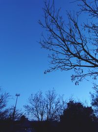 Low angle view of silhouette bare tree against clear blue sky