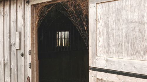 Closed door of old building