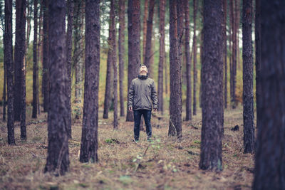 Rear view of woman walking in forest