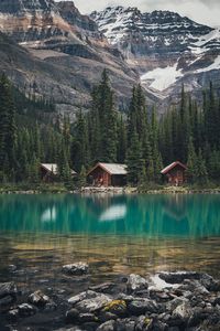 Scenic view of a lake in winter