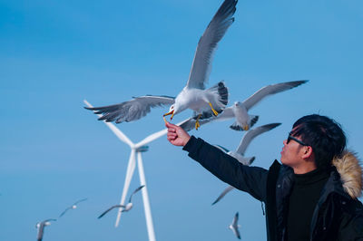 Man feeding seagull against clear blue sky