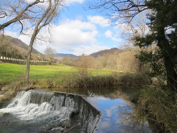 Scenic view of river amidst trees against sky