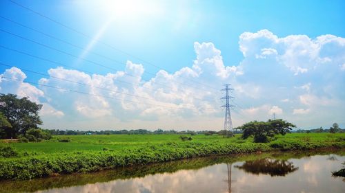 Scenic view of agricultural field against sky