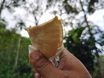 Close-up of person holding ice cream